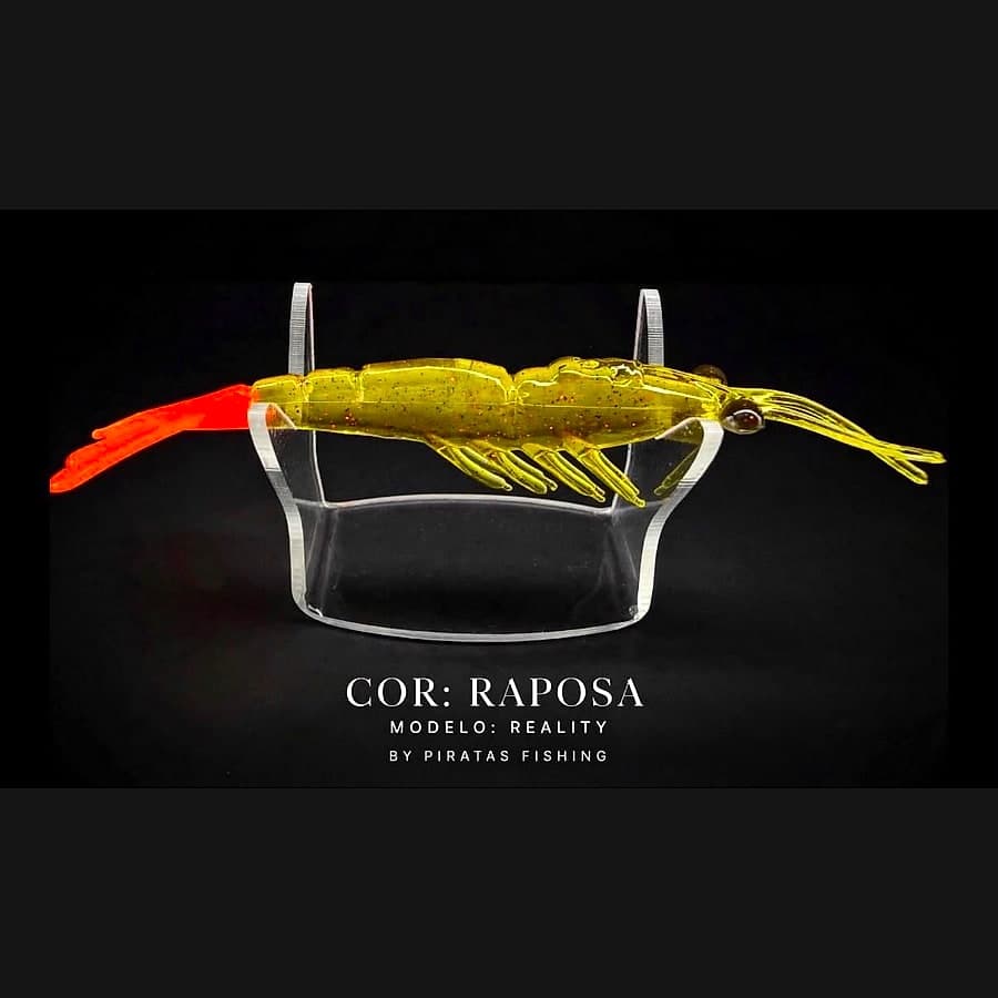 Reality – Raposa