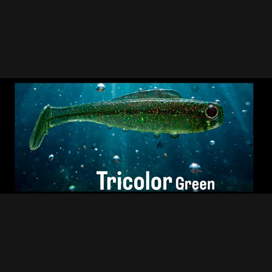 Shad – Tricolor Green