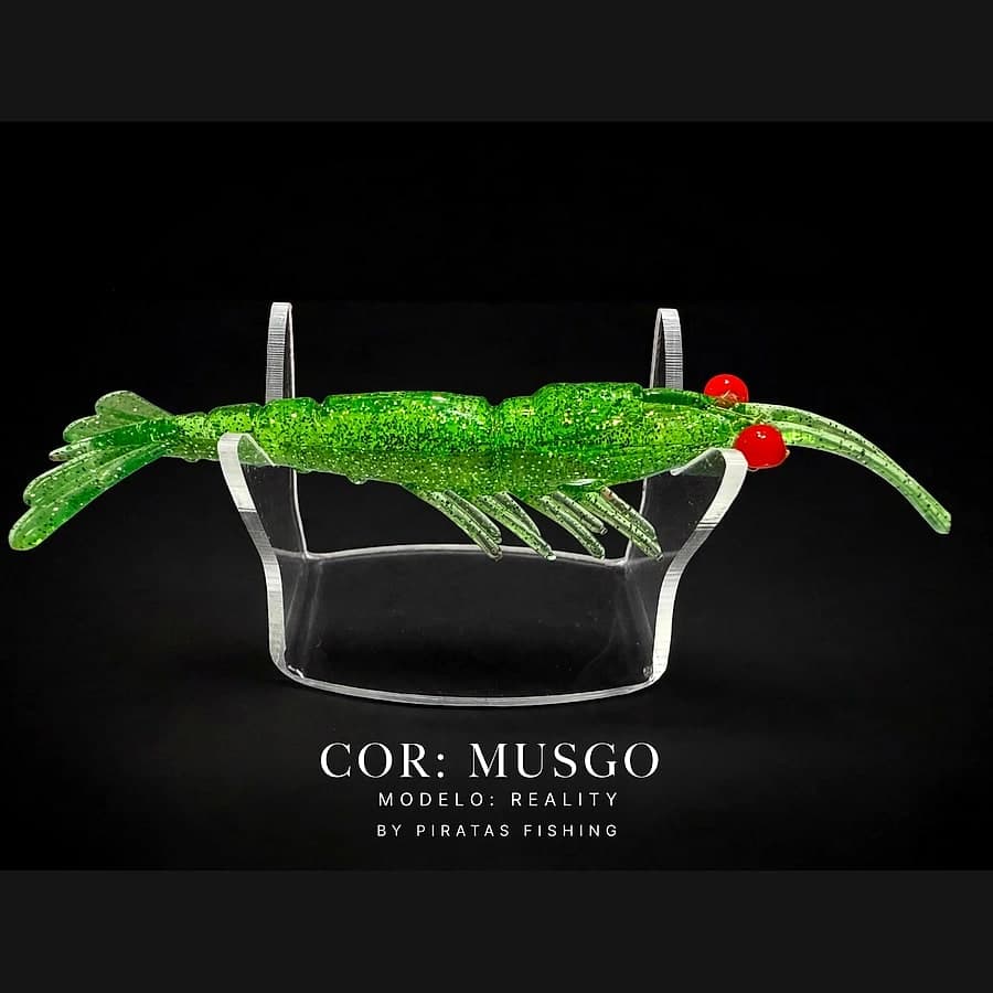 Reality – Musgo