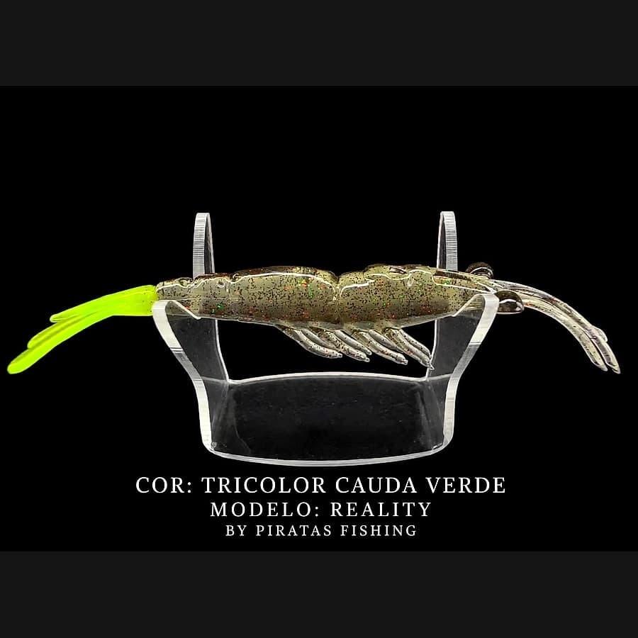 Reality – Tricolor Cauda Verde