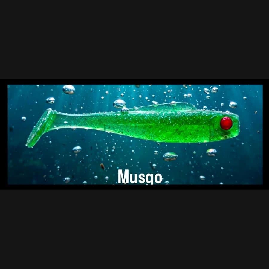 Shad – Musgo